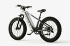 electric bikes for adults 2024