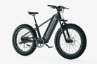 top electric bikes for adults