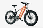 electric bikes for adults