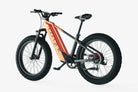 electric bikes for adults 2025