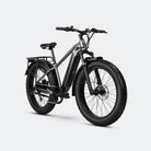 suspension seat post for ebike