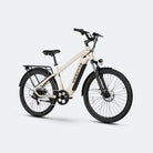 electric bike for heavy adults